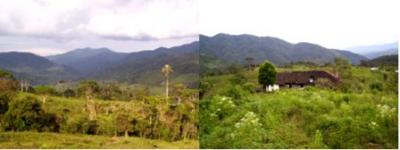 DESCRIPCION DEL TERRENO FINCA LOS ALPES